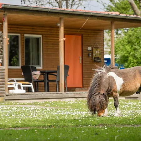 Apartmán Moewenort 8 Lutow